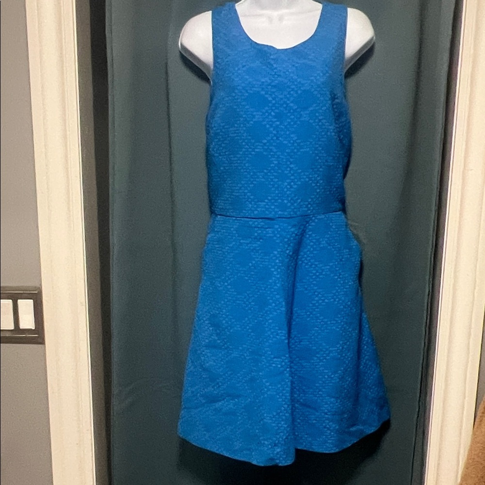 Banana Republic Vibrant Blue Textured Dress